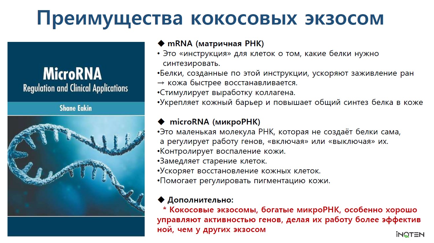 лоасен 3.jpg